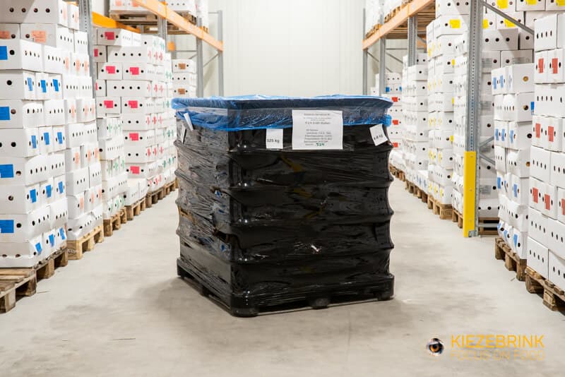 Rundvlees met bot - cat.2 - 500 kg (4-8 kg st.)