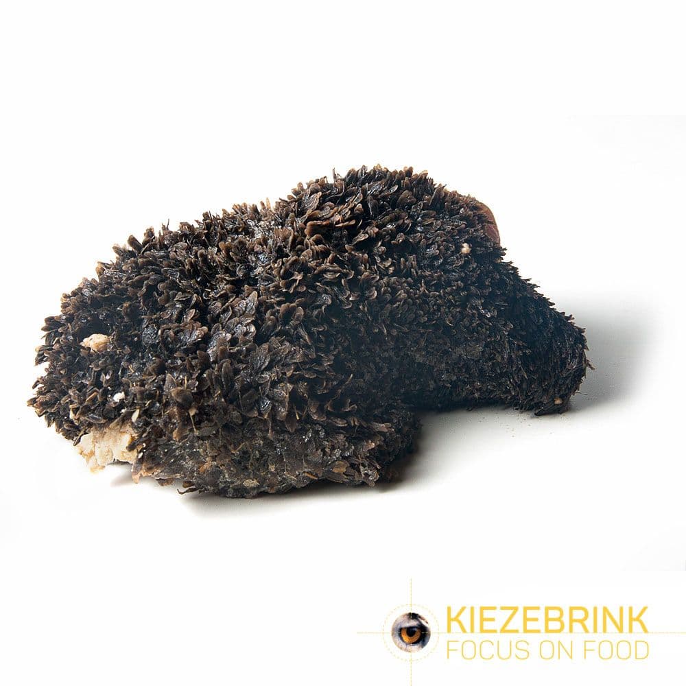 KB BARF - Runderpens