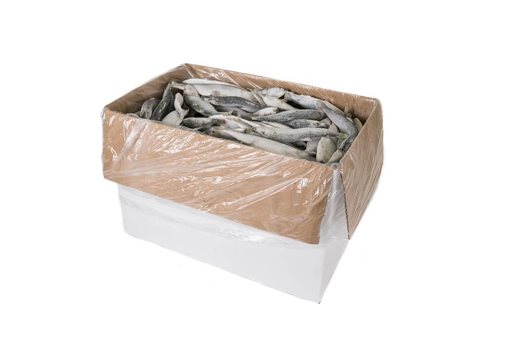 Hareng - 10 kg boîte