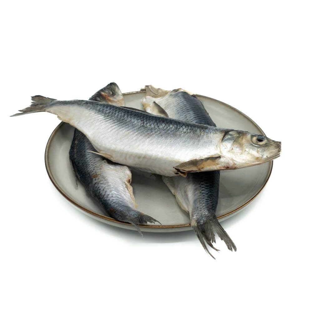 KB Barf - Hareng