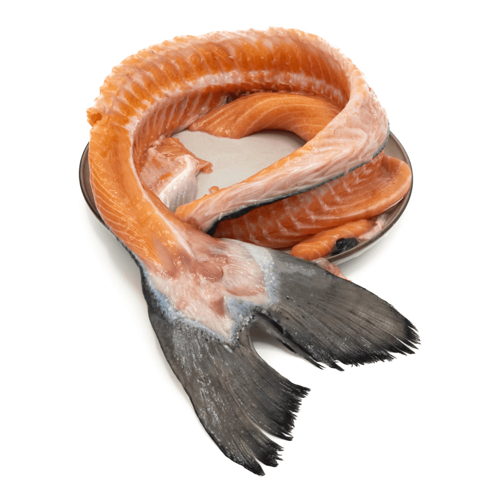 KB BARF - Zalmlijven