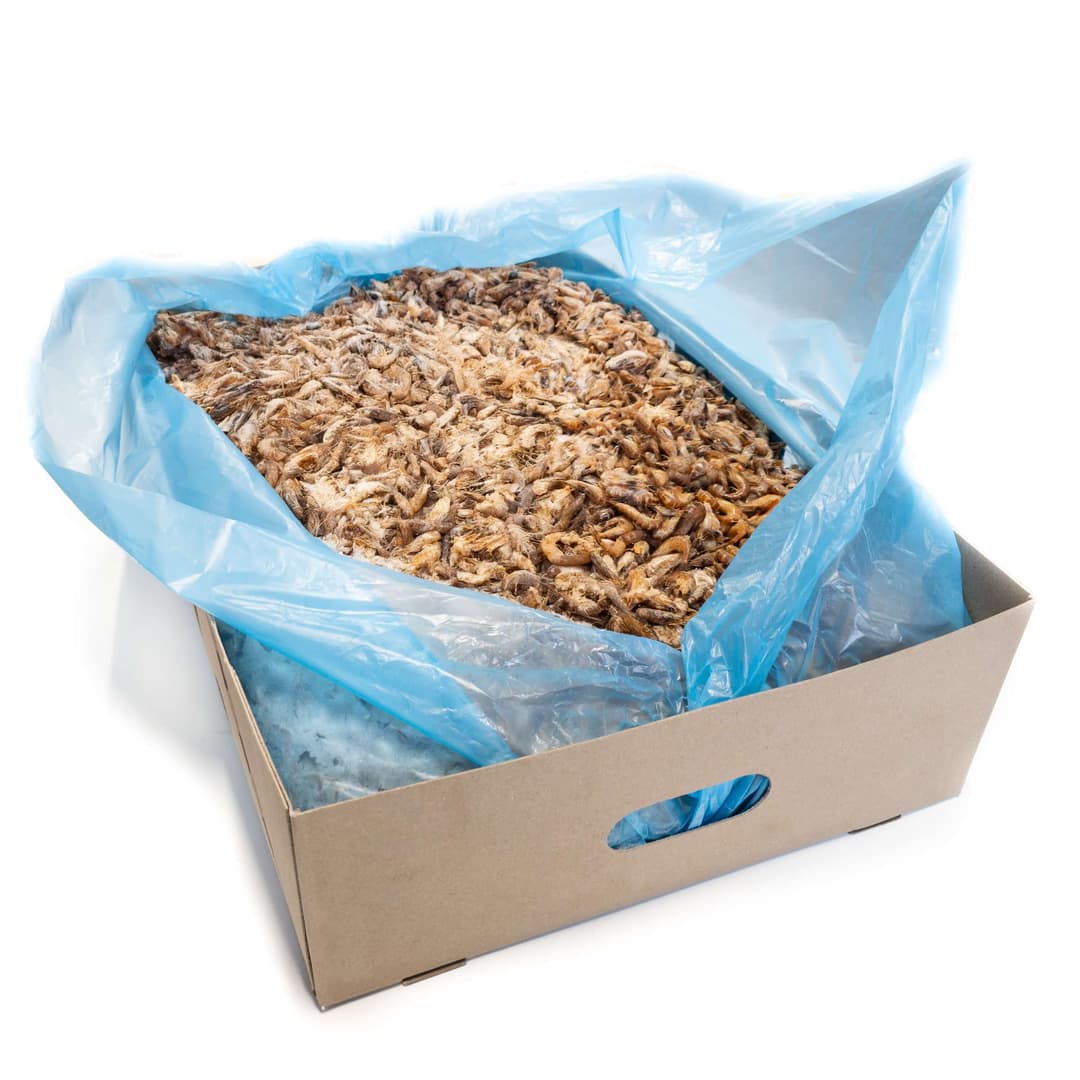 Shrimps Small - 8 kg box