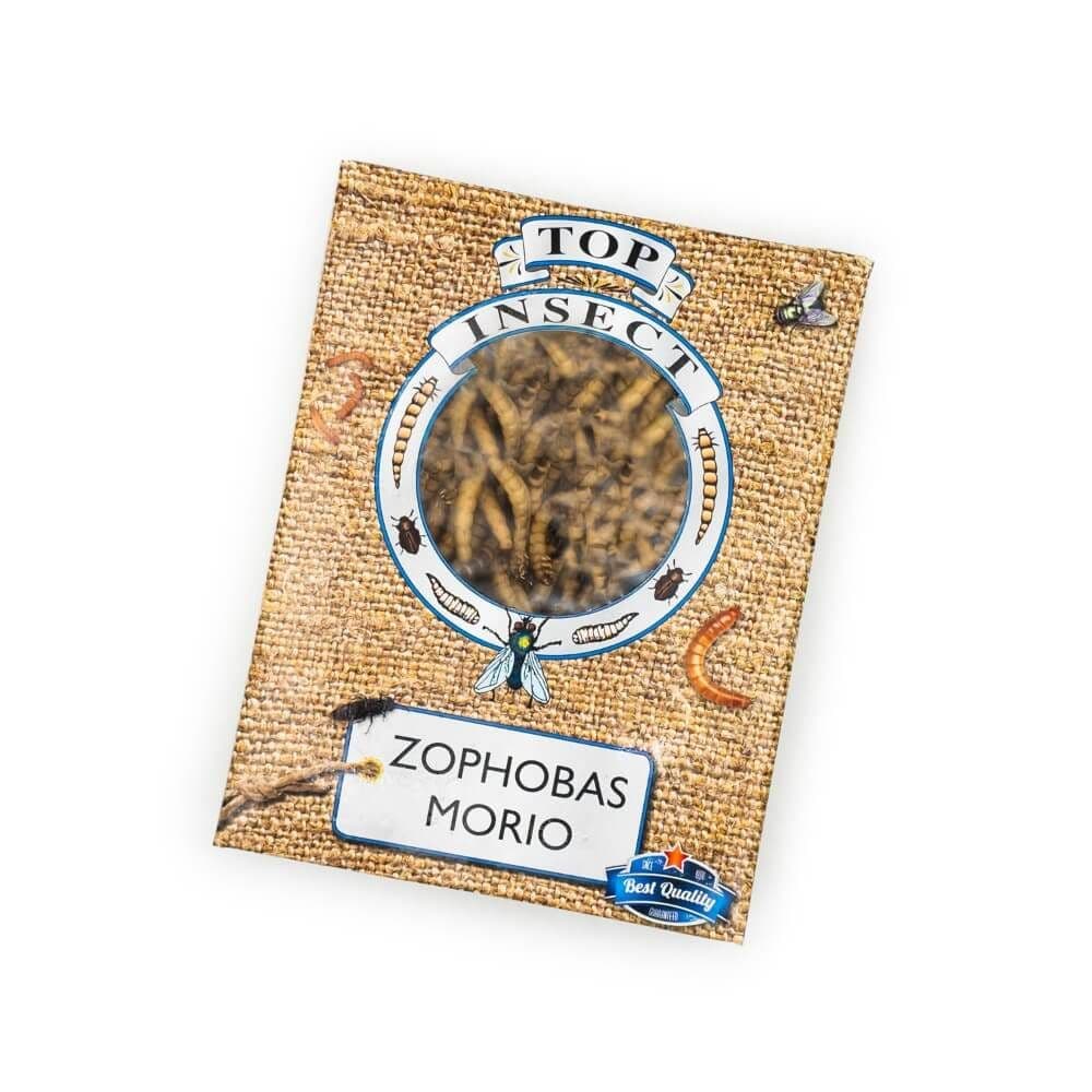 Moriowormen