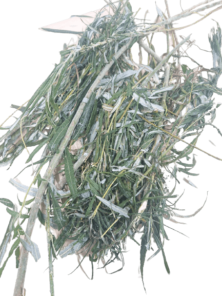 Wilg Bevroren - ca. 300 kg