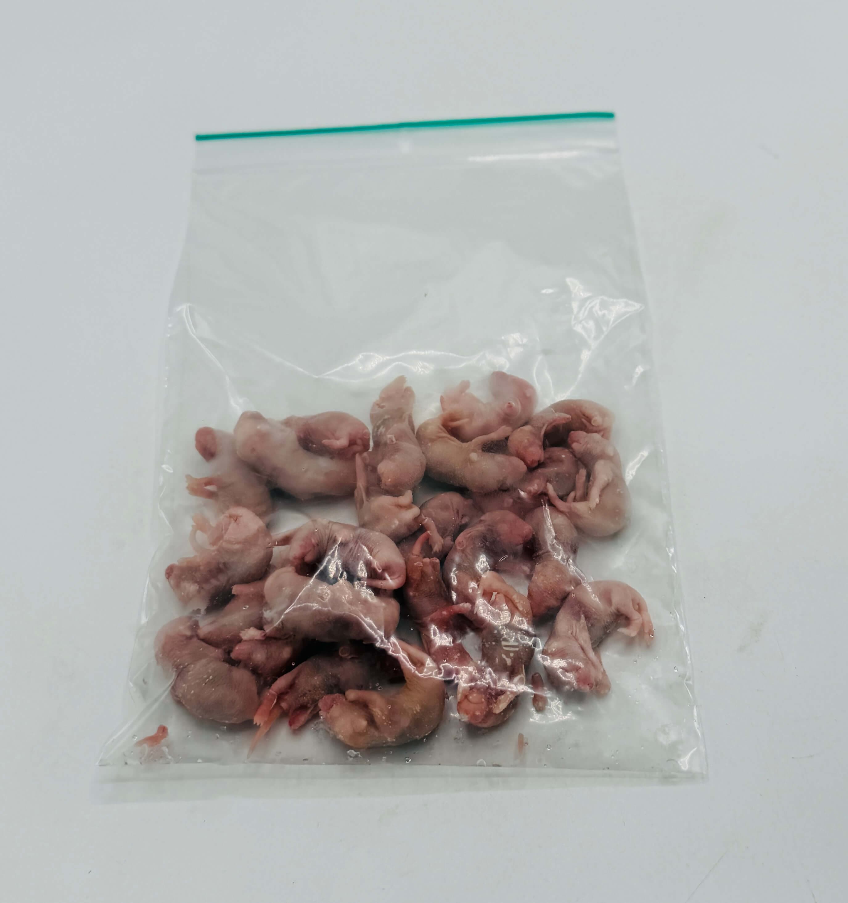 Premium Souris Bébé (1-2 g)