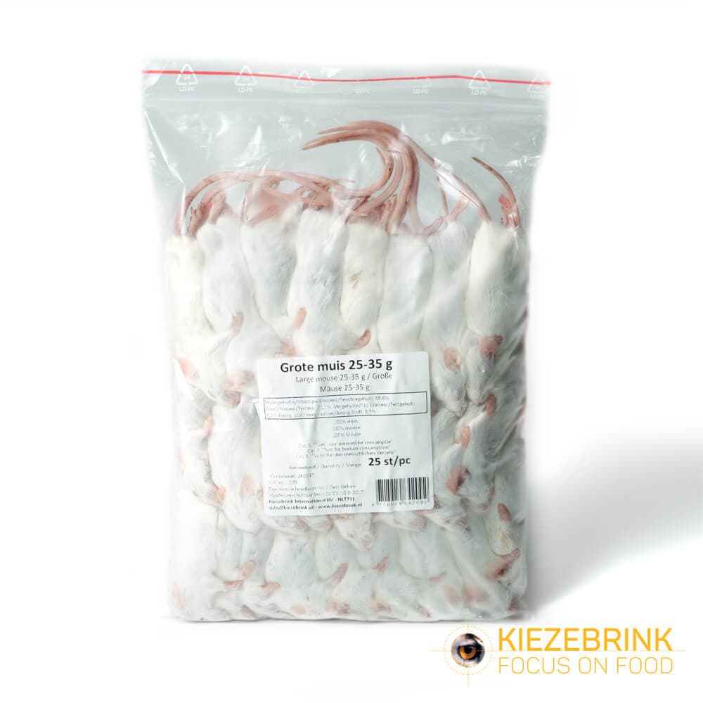 Large Mice (23-30 g)