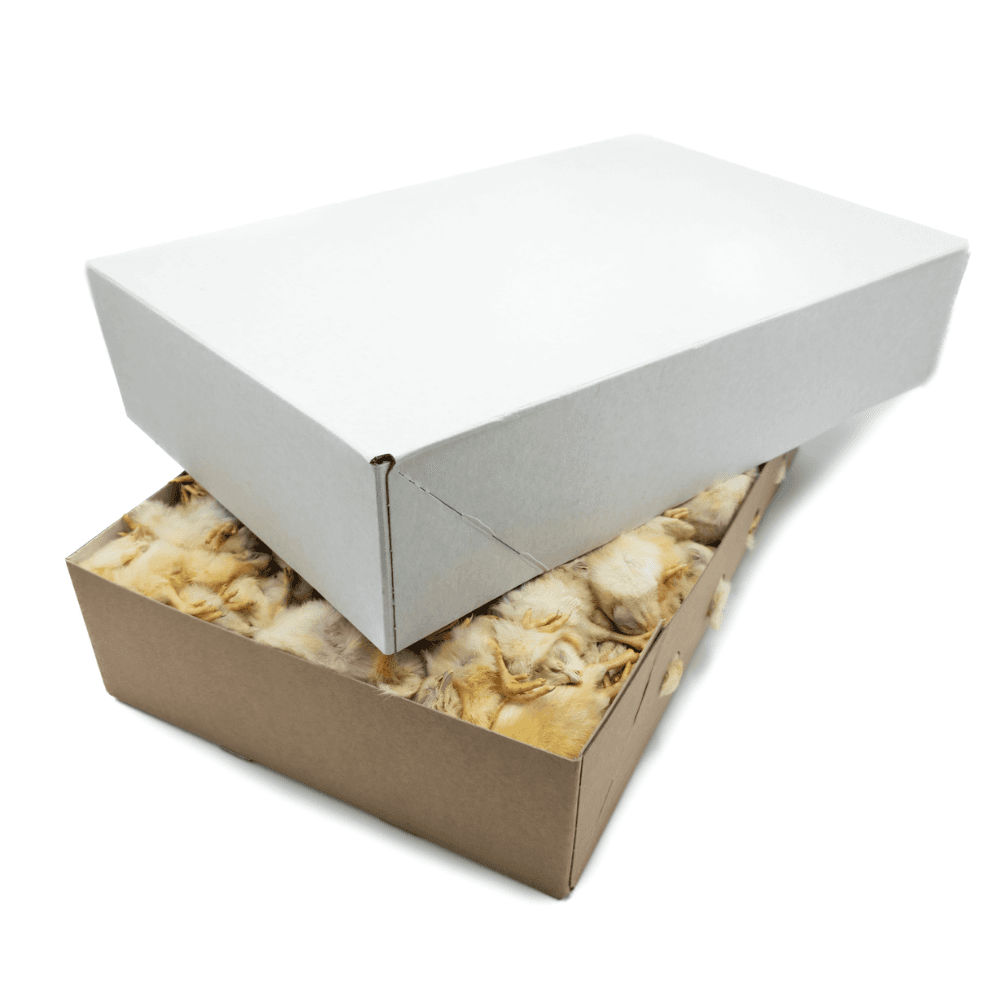 Eendaghaantjes "Animalfoods" > 30 dozen