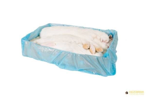 Rabbit (4-5 kg) - 2 pcs/box