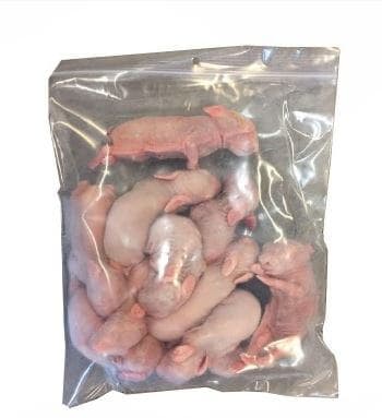 Baby Rabbit - 1 kg bag