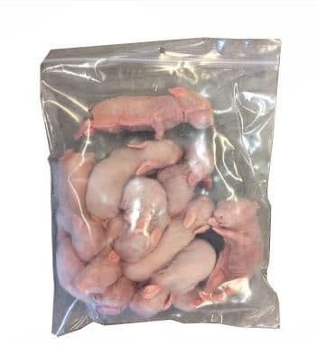 Baby Rabbit - 1 kg bag