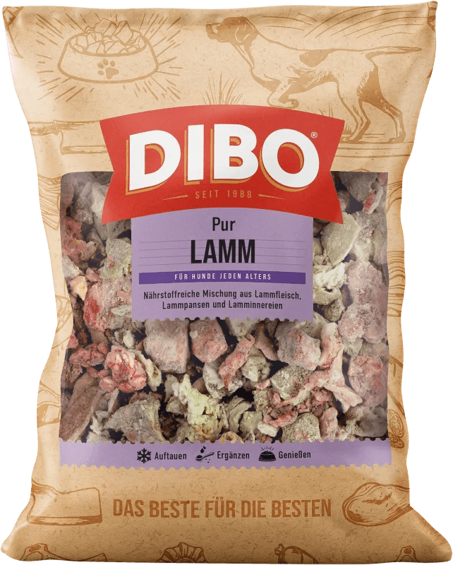 Dibo - Lamb