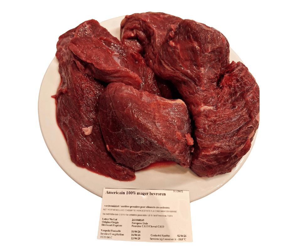 Goulash de Cheval
