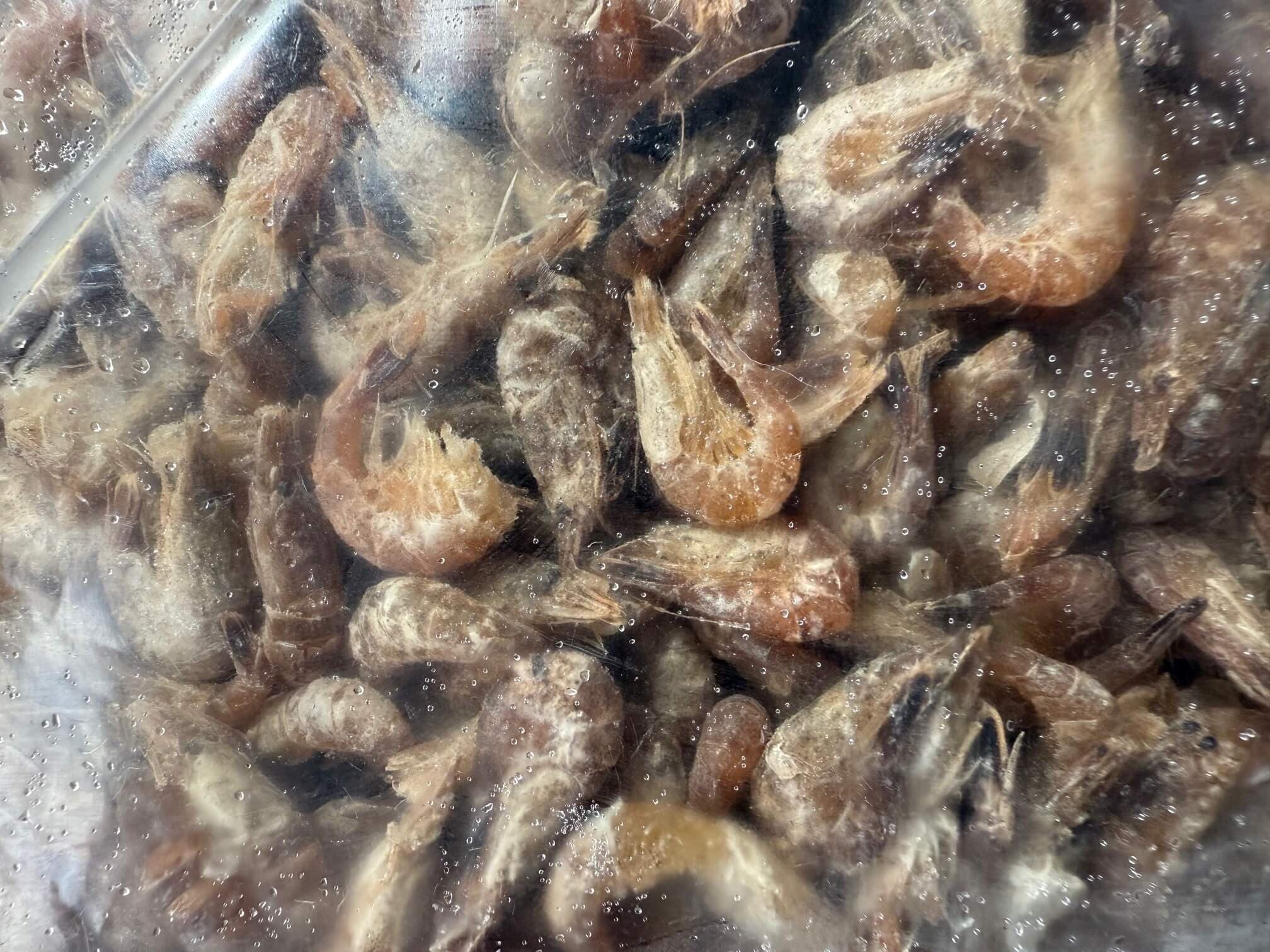 Crevettes Petites - 15 kg boîte