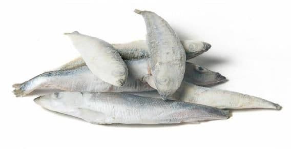 Sprot IQF - 10 kg doos