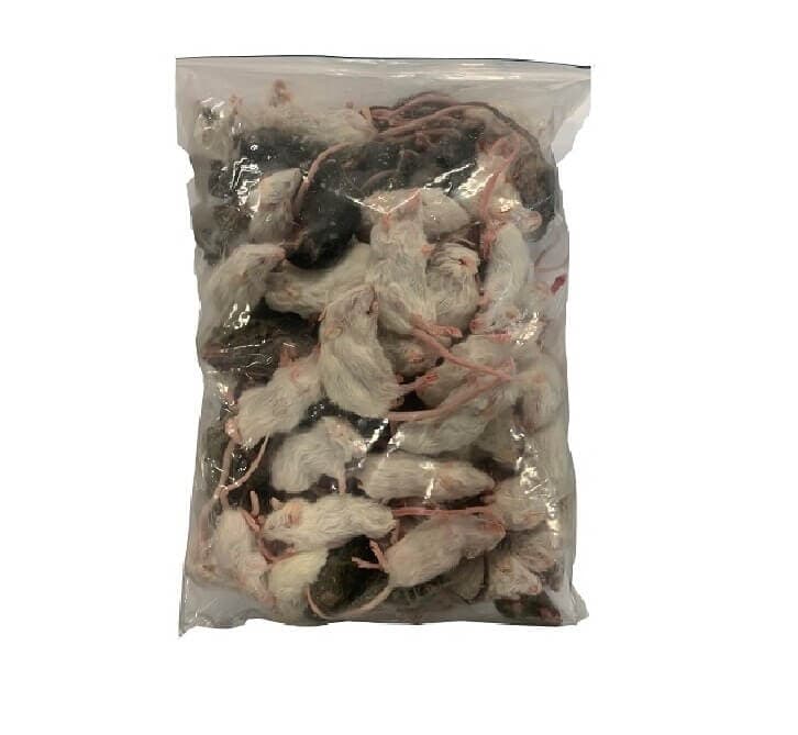 Souris, petite (6-15 g)