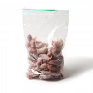 Baby Rat (5 g)