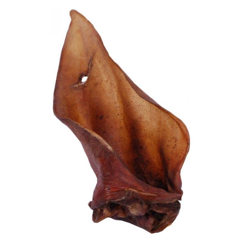 Oreilles de Boeuf séchées