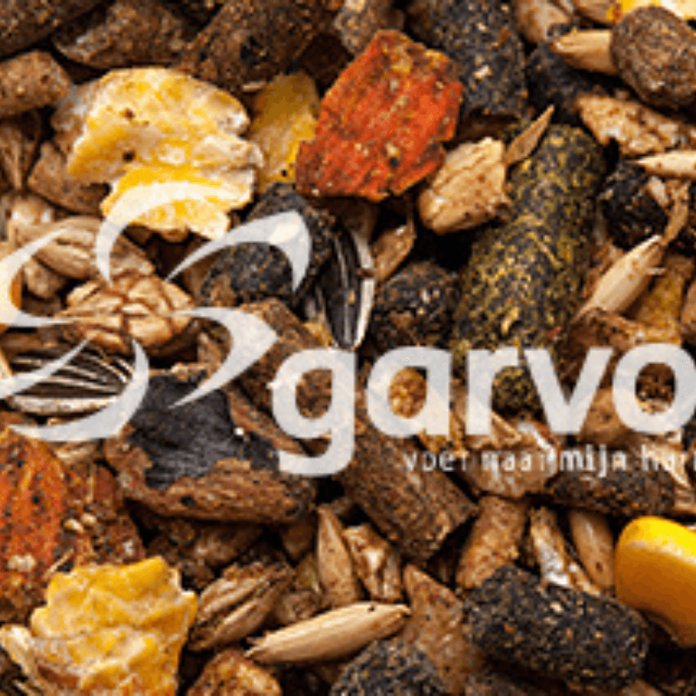 Alfamix Swine (pet pigs)