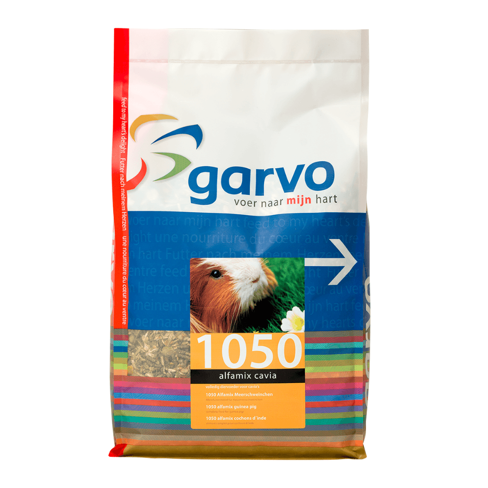 Alfamix Guinea Pig