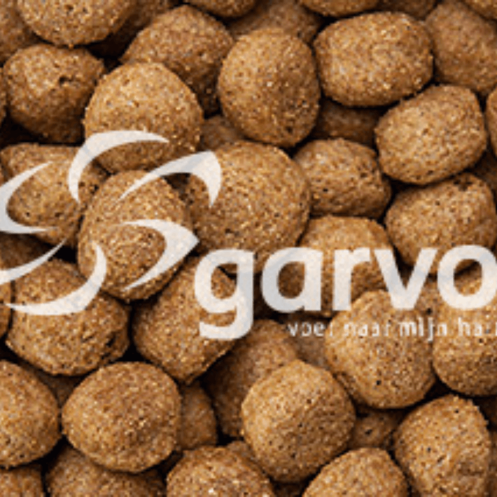 Rangers CR Dogfood Senior