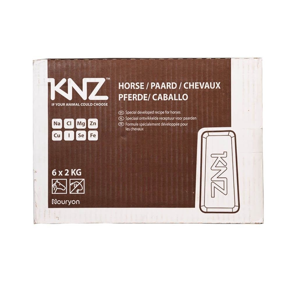KNZ Mineral-lick Horse