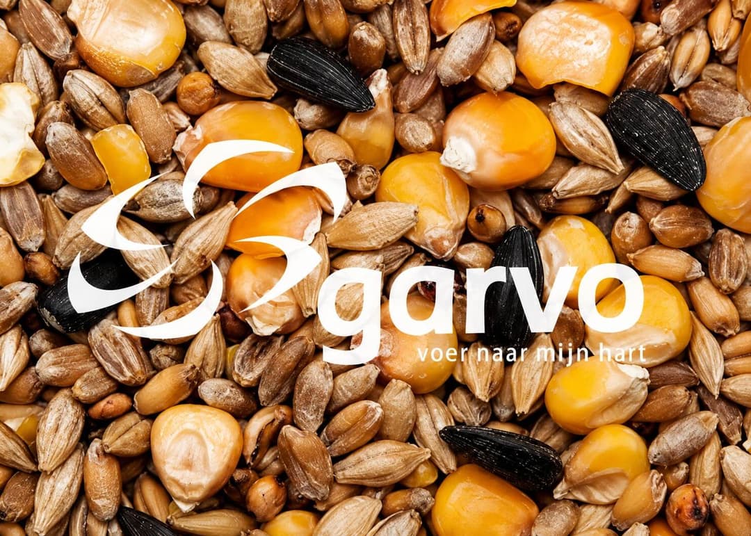 Mixed Corn with Sunflowerseeds