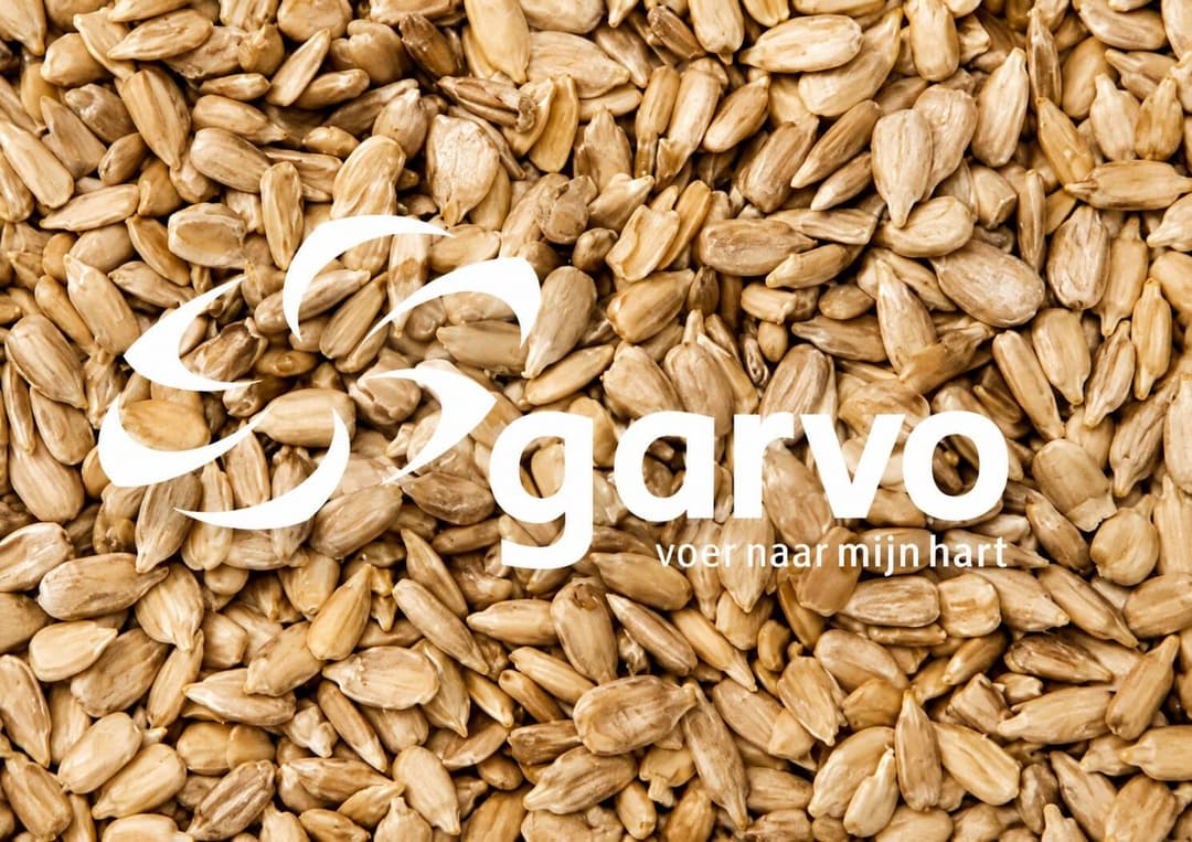 Sunflowerseed Peeled