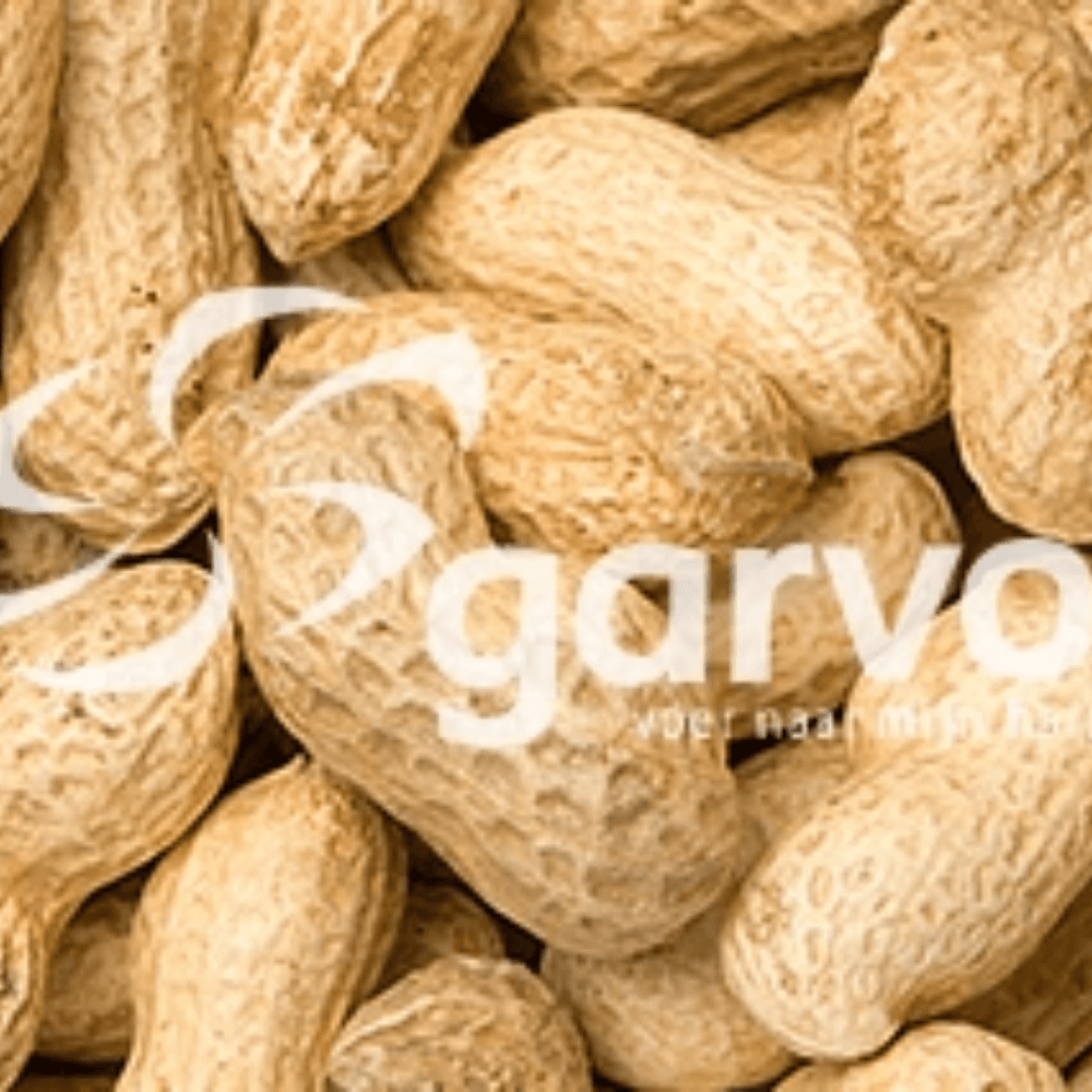Groundnuts Not Peeled