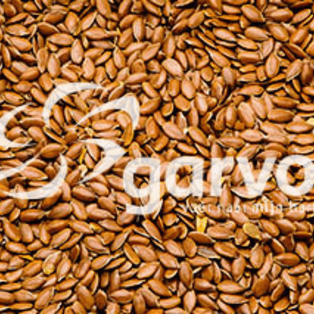 Graines de Lins