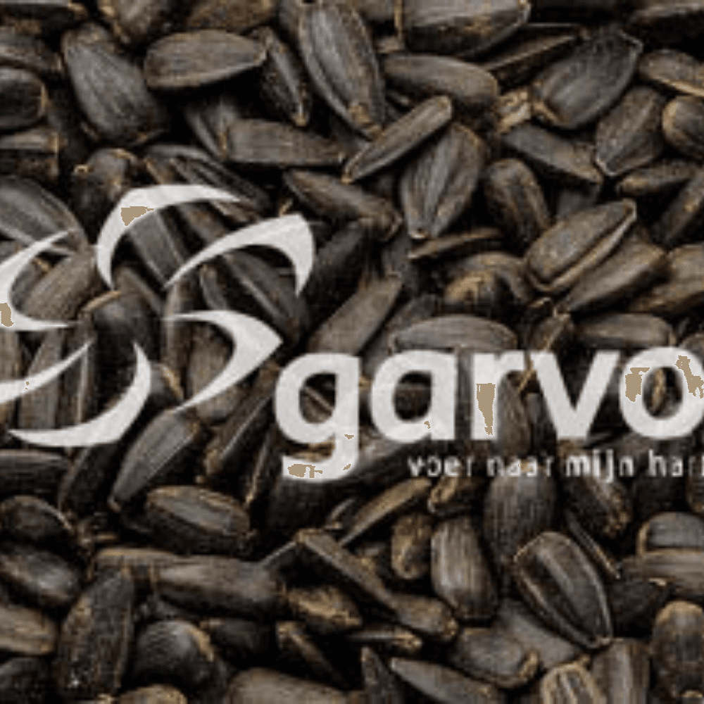 Sunflowerseed Black