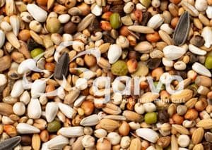 Exotische duivenvoer deluxe