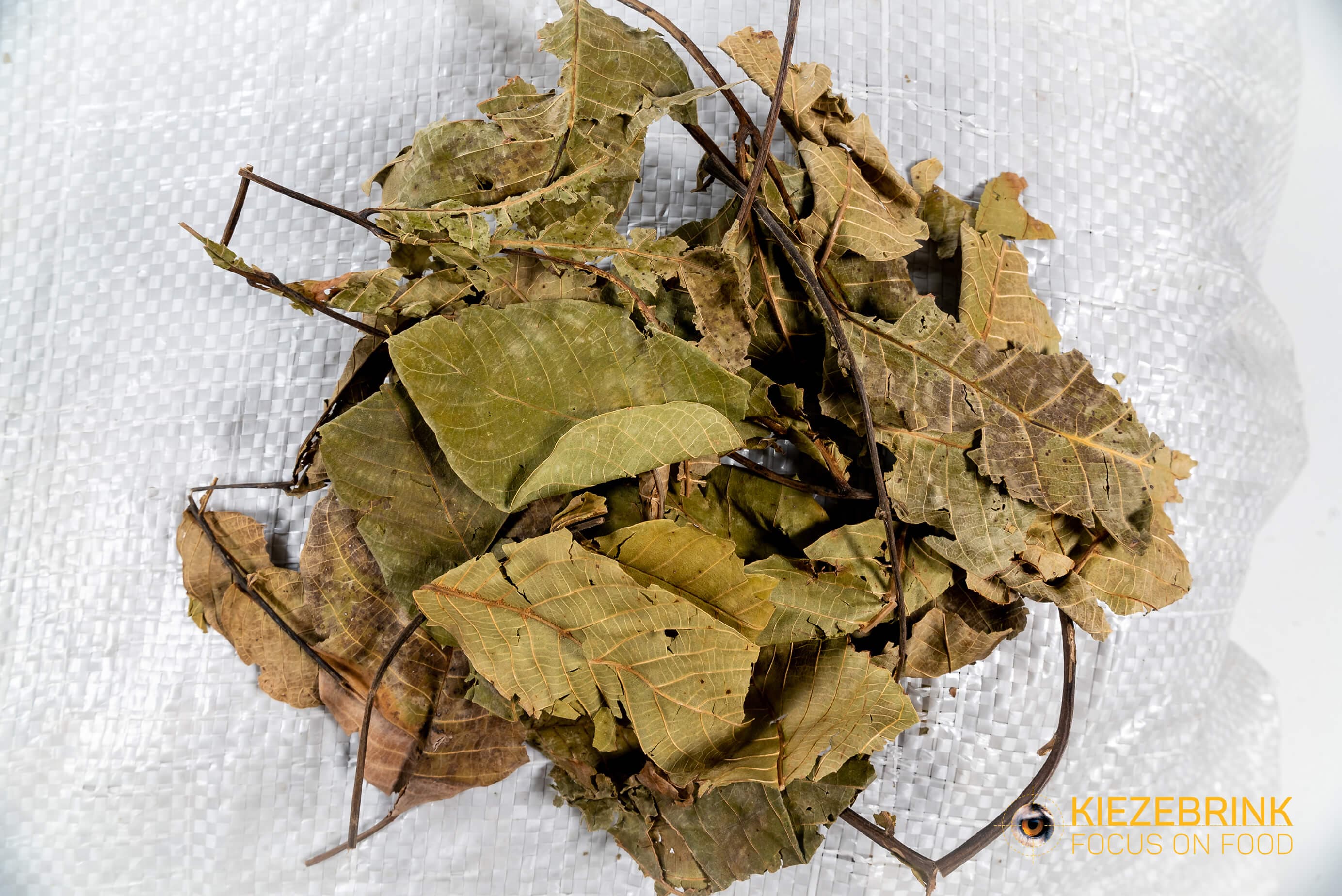 Walnut Leaves - 10-20 kg bag
