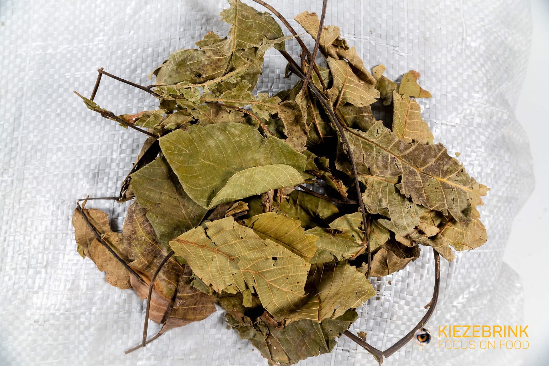 Feuille de Noyer - 10-20 kg sac