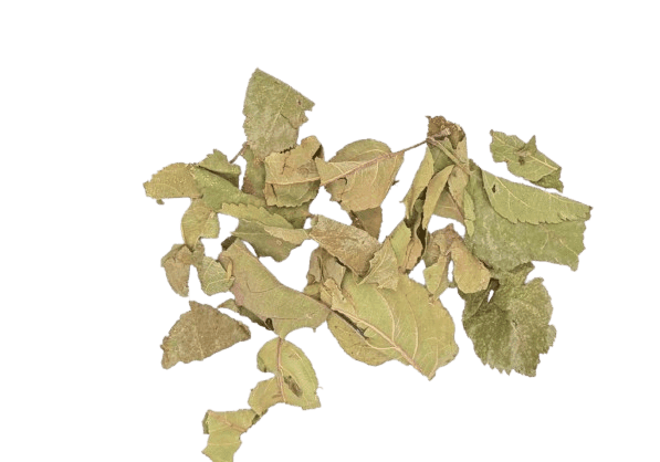 Appelblad - 12 kg zak