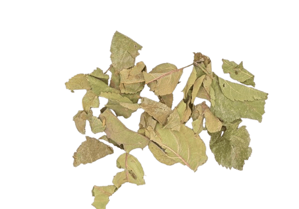Apple Leaves - 12 kg bag