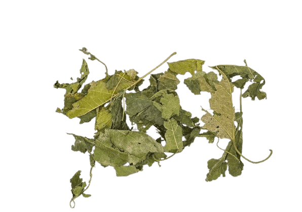 Feuille de Mûrier - 12 kg sac
