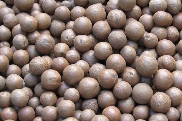 Macadamia nuts in shell - 10 kg