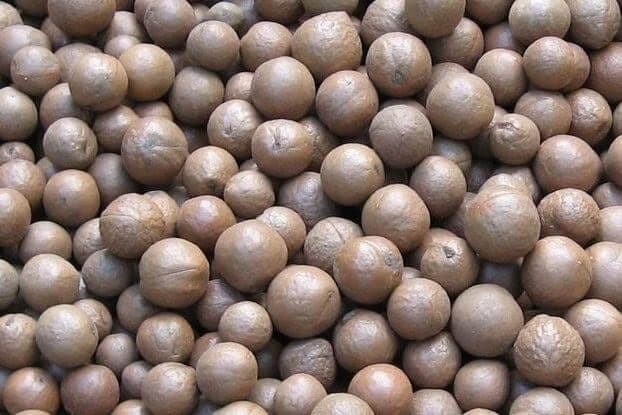 Macadamianoten in dop - 10 kg