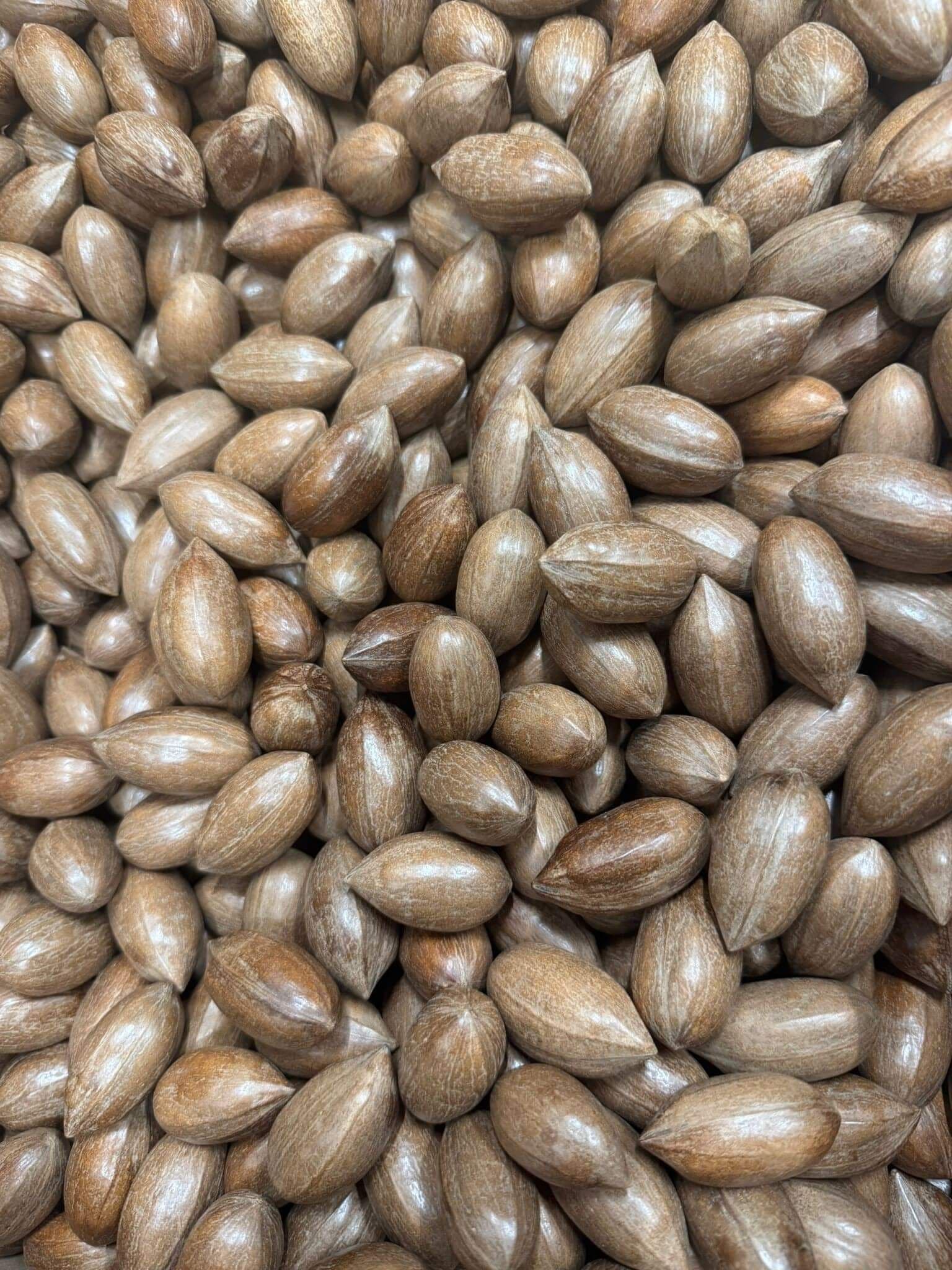 Pecannoten in dop - 12,5 kg