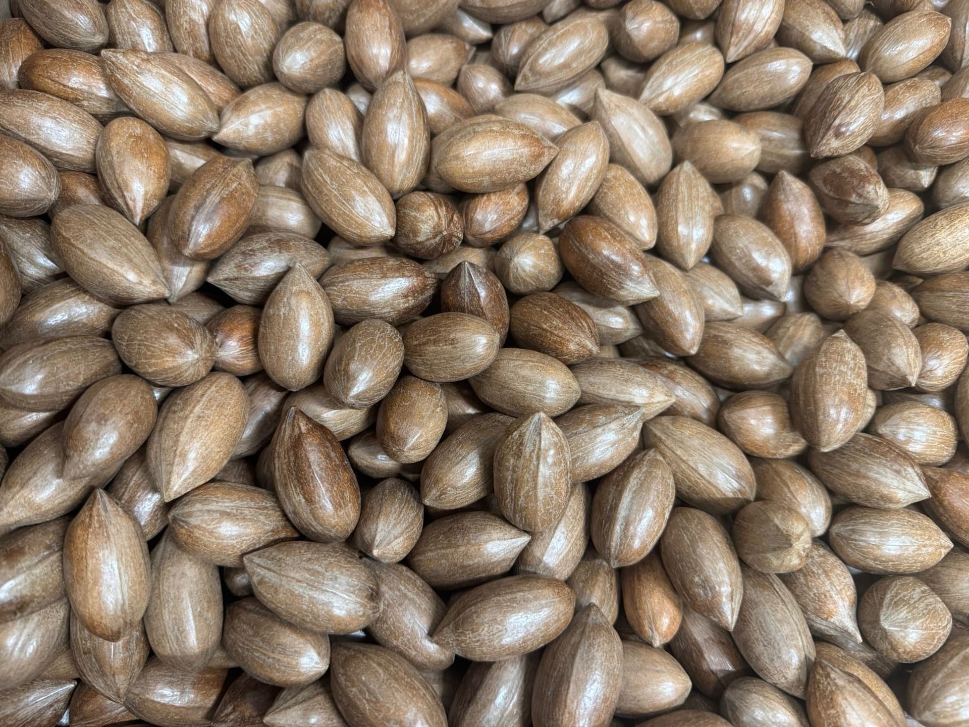 Pecanuts in shell - 12,5 kg