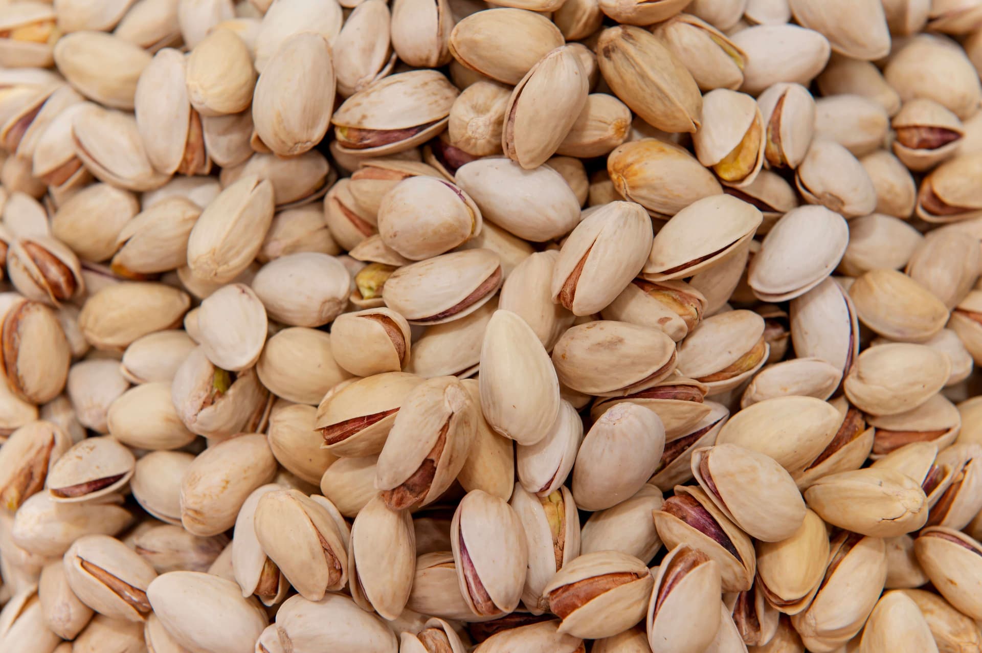 Pistachnoten in dop - 12,5 kg