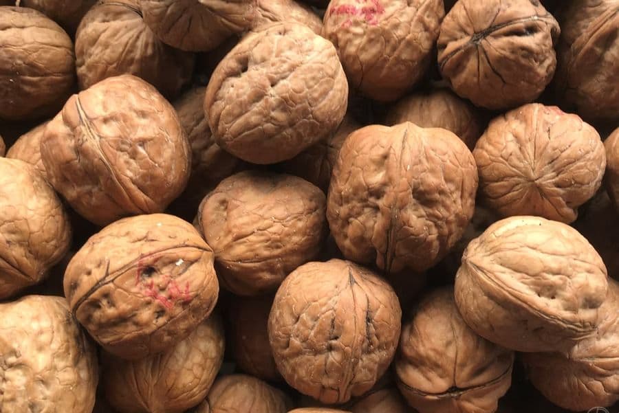 Noix en coque - 10 kg