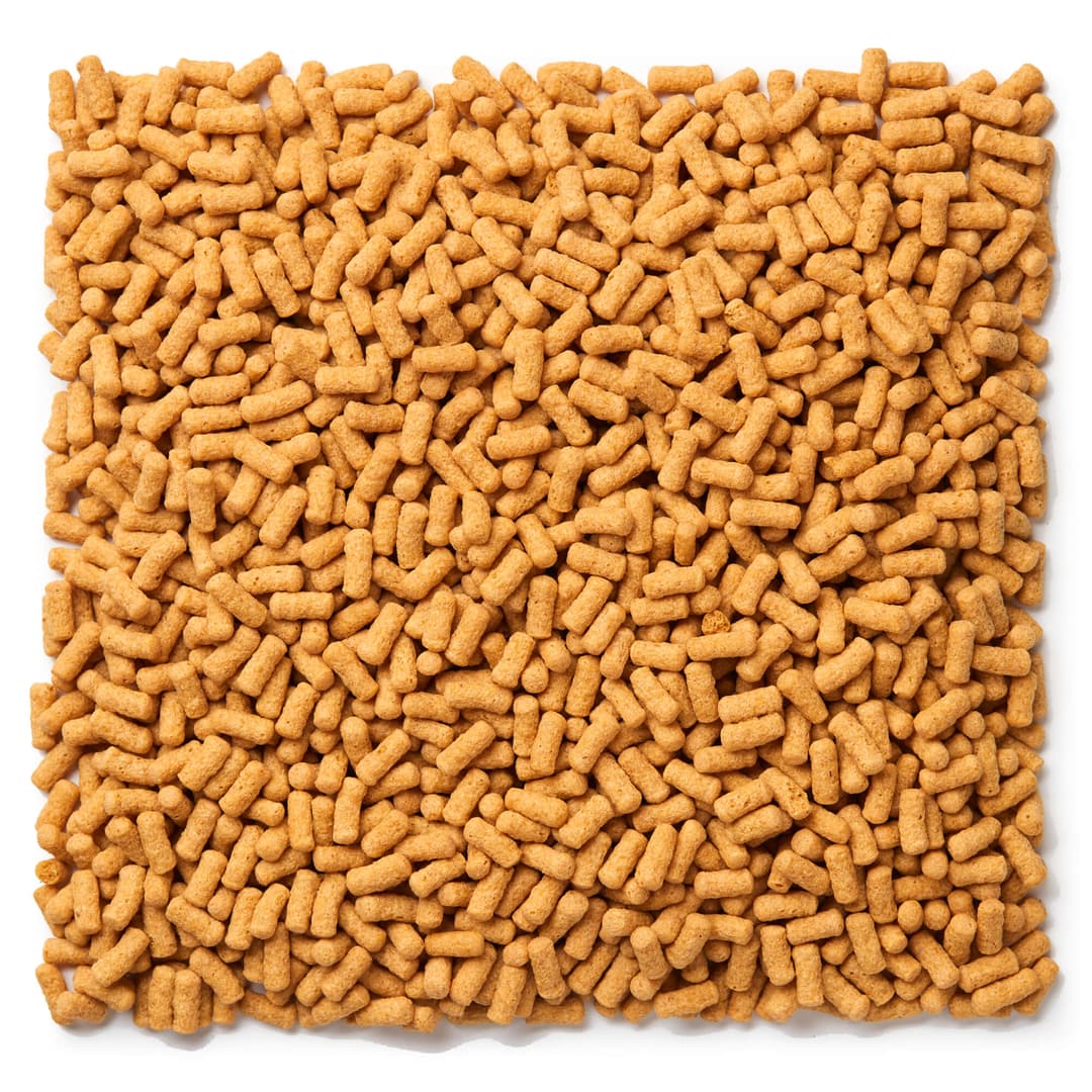 Softbill diet