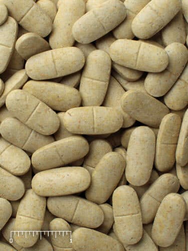 Shark & Ray Supplement (1.5 g tablets)