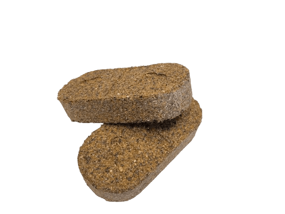 Salvana Elephant Biscuit (144 pieces)