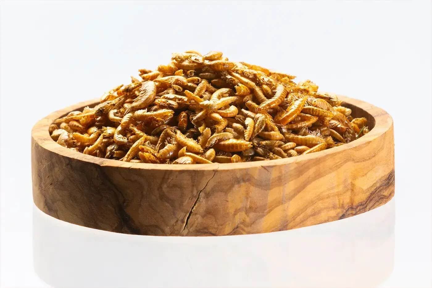 Gammarus Séchés