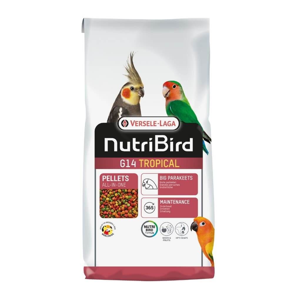 G14 Large Parakeet Tropical Maintenance