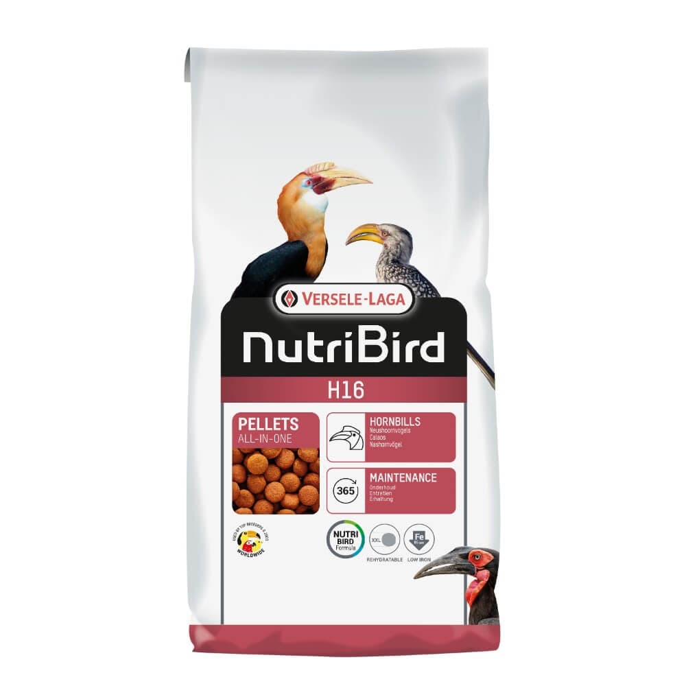H16 Hornbill Maintenance and Breeder
