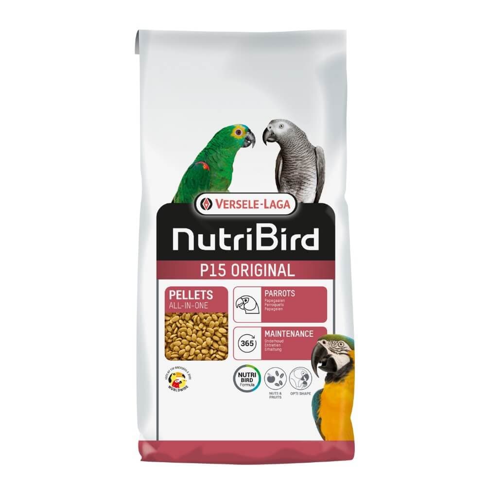 P15 Parrot Maintenance Original