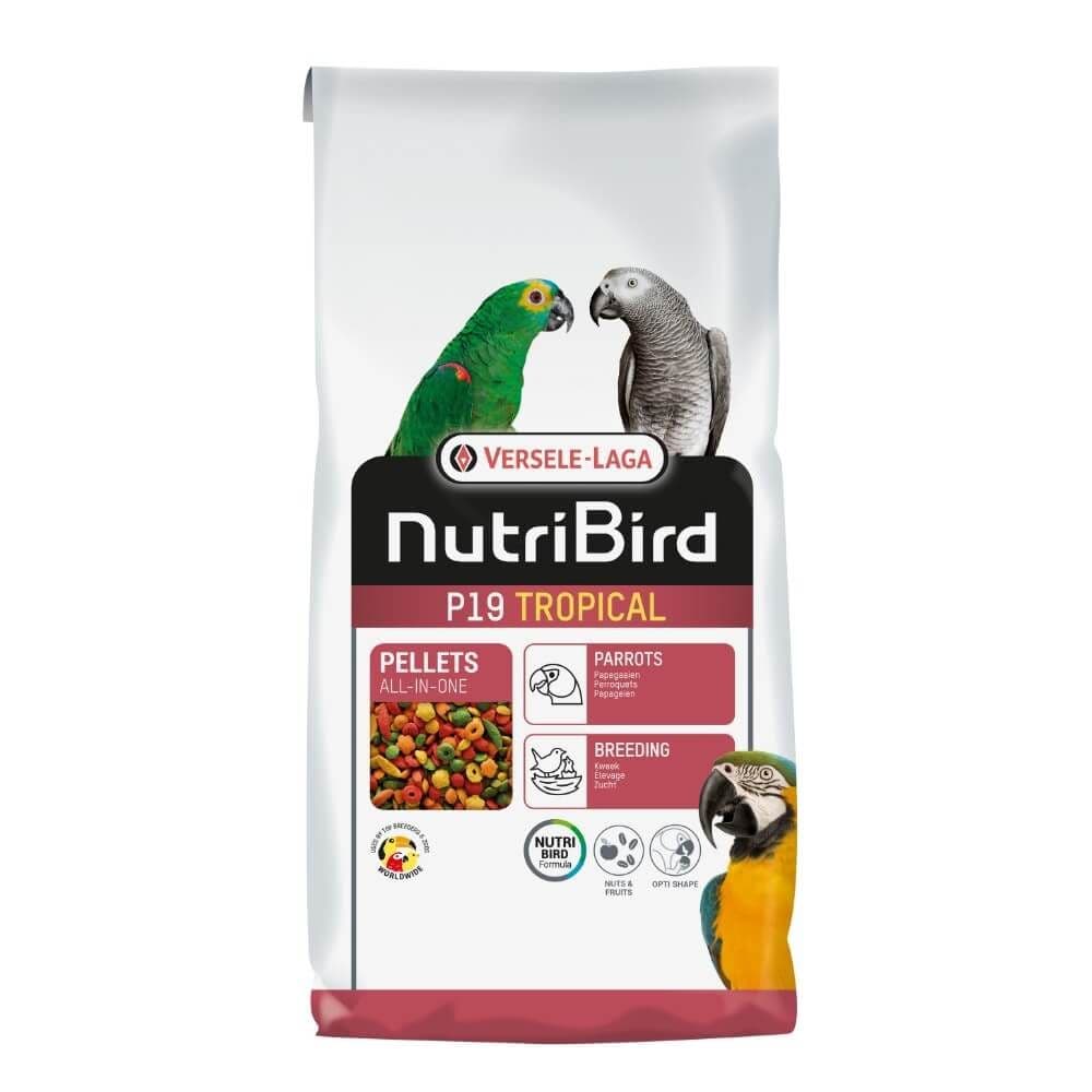 P19 Parrot Breeder Tropical